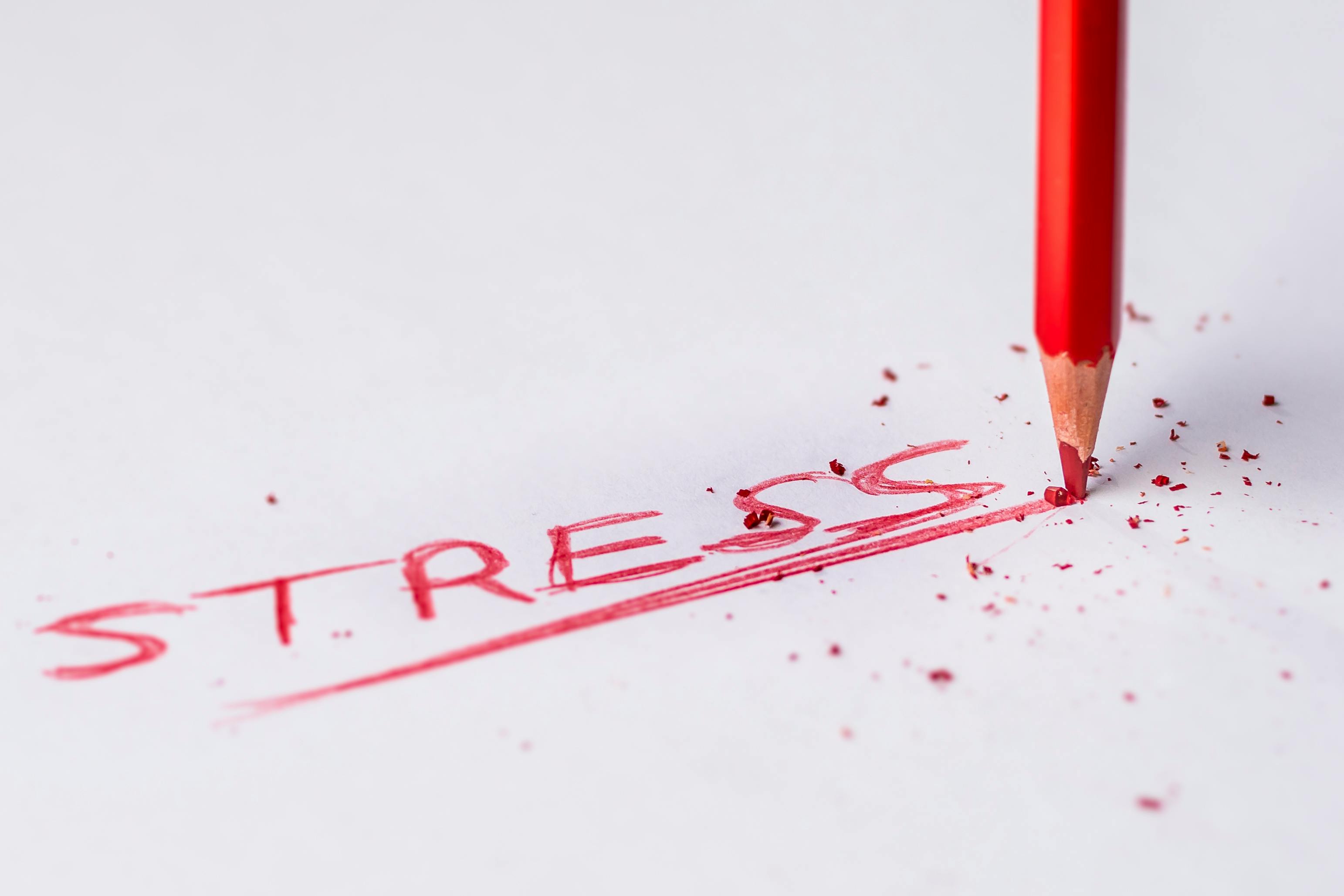 Stress Management and Mindfulness for Professionals
